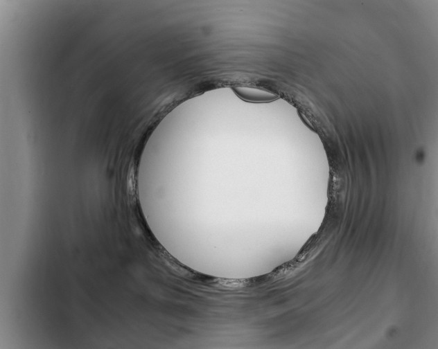 X0000102760143200808180940
