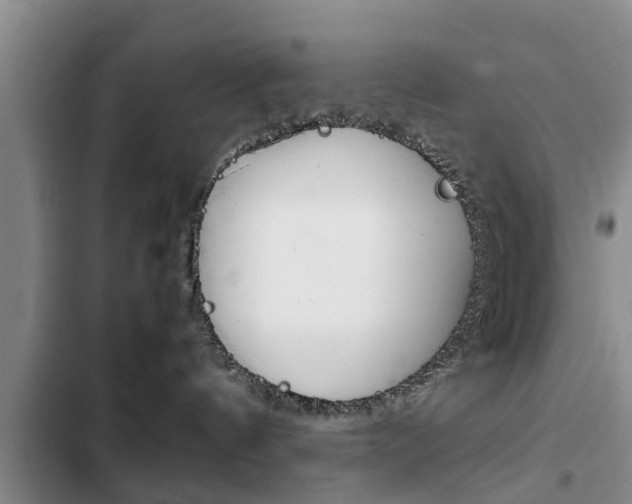 X0000102760144200808180940