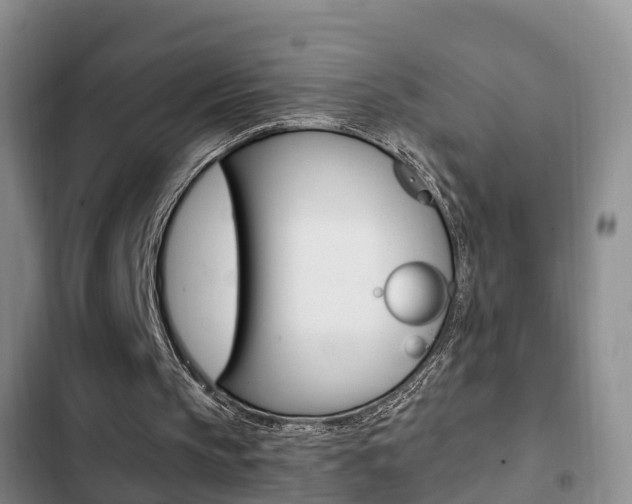 X0000102760145200808180939