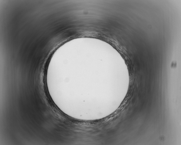 X0000102760146200808180939