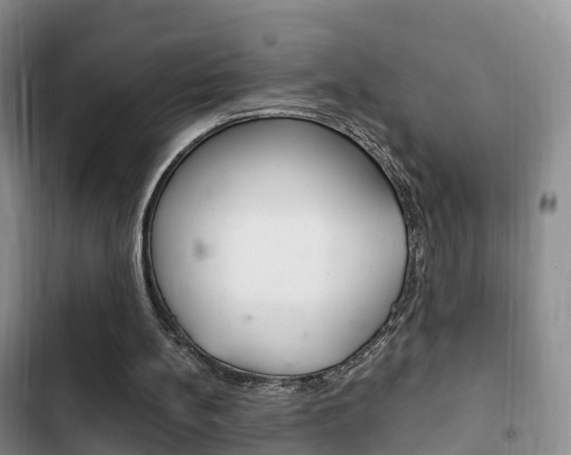 X0000102760148200808180939