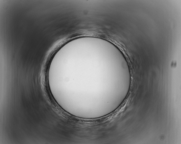 X0000102760149200808180939