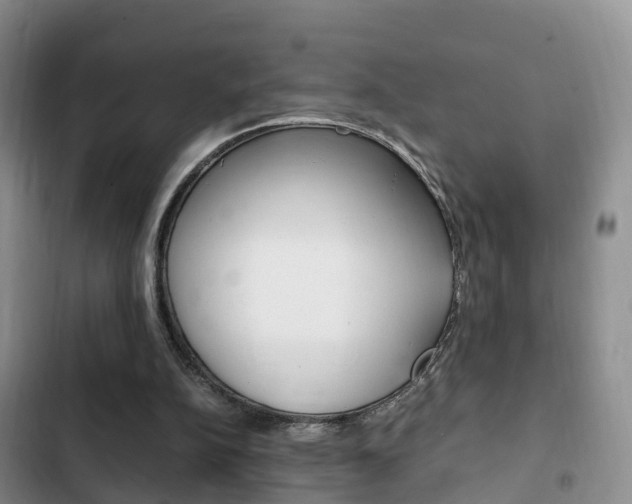X0000102760152200808180939