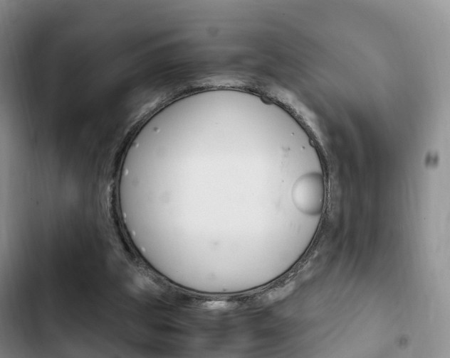 X0000102760153200808180939