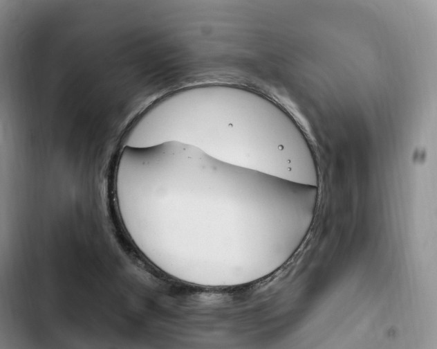 X0000102760154200808180939