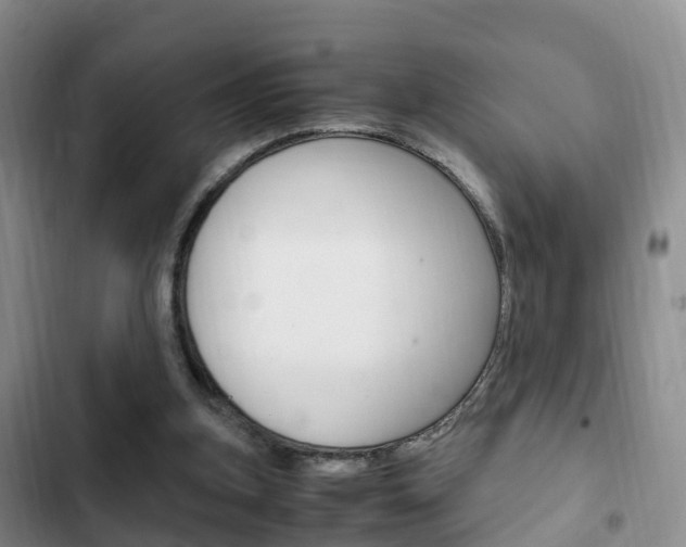 X0000102760155200808180939