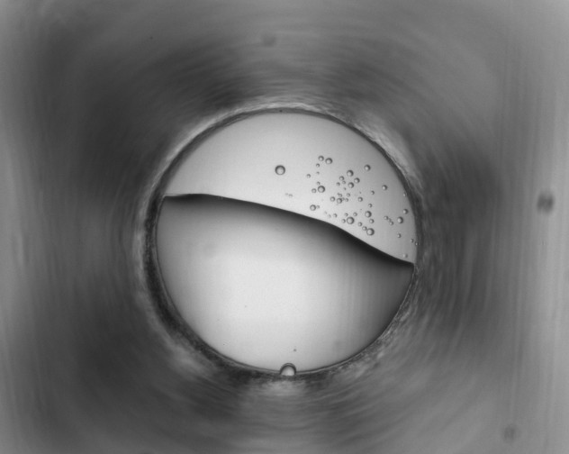 X0000102760156200808180939