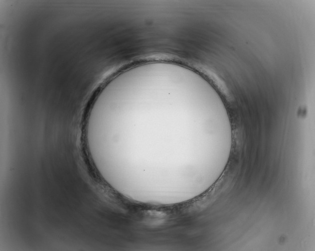 X0000102760159200808180939