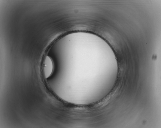 X0000102760160200808180939