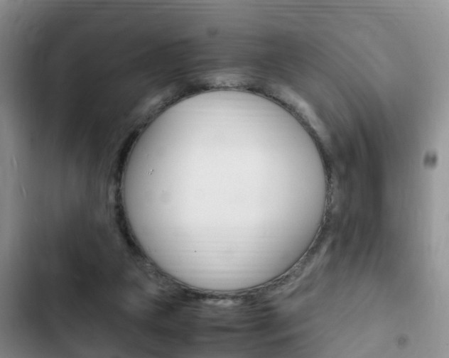 X0000102760161200808180939