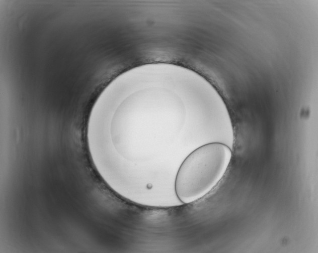 X0000102760162200808180939