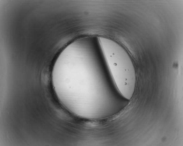 X0000102760164200808180939