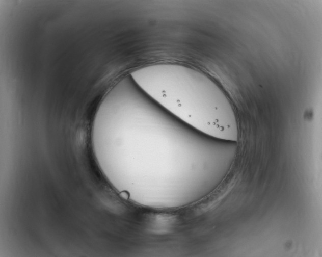 X0000102760165200808180939