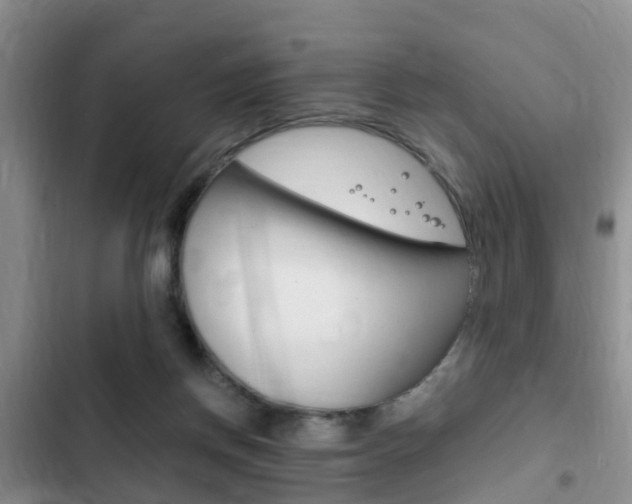 X0000102760166200808180939