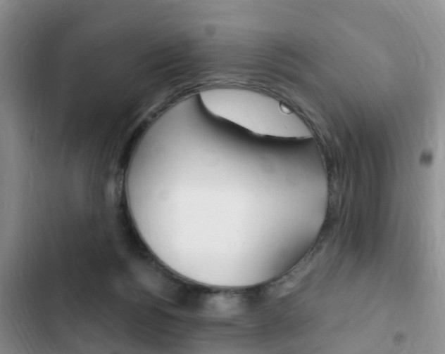 X0000102760168200808180939