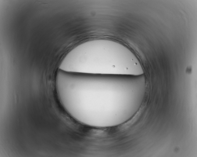 X0000102760170200808180939