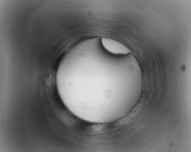 X0000102760172200808180939