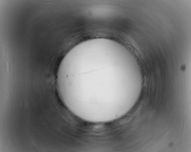 X0000102760173200808180940