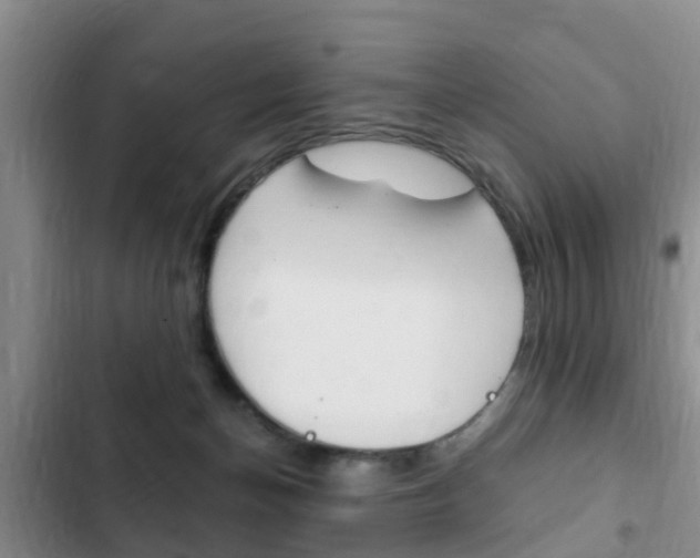 X0000102760174200808180940