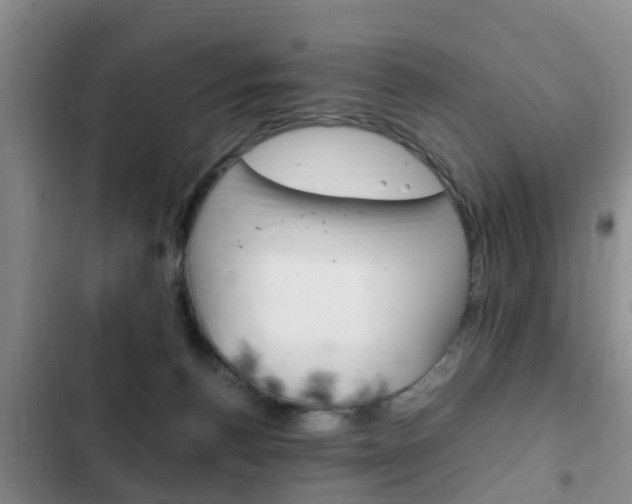 X0000102760176200808180940