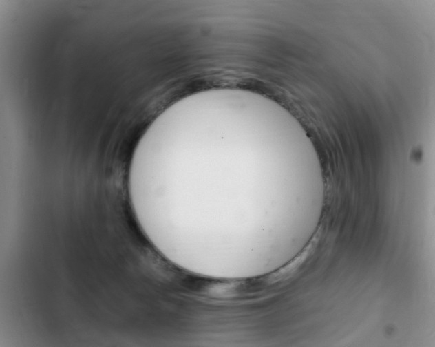X0000102760178200808180940