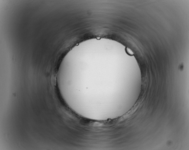 X0000102760180200808180940