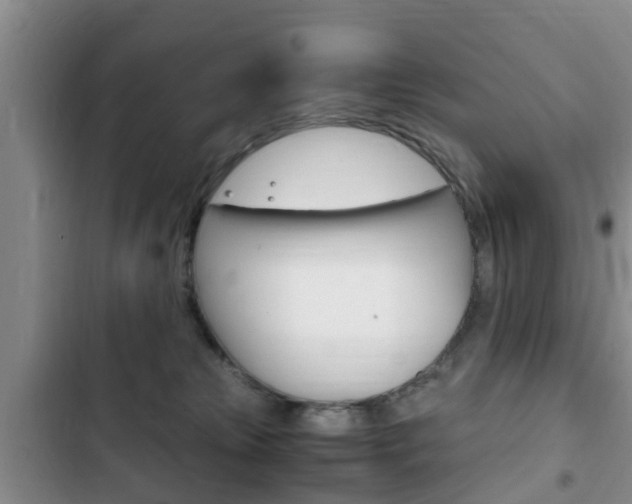X0000102760181200808180940