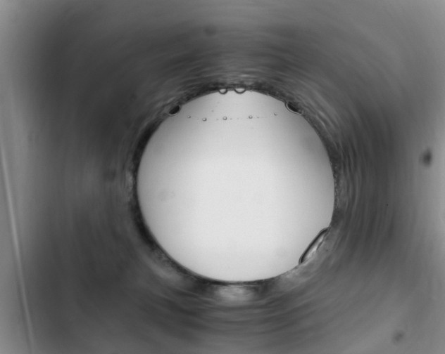 X0000102760183200808180940