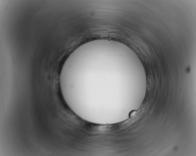 X0000102760184200808180940