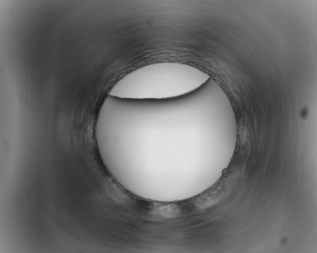 X0000102760185200808180940