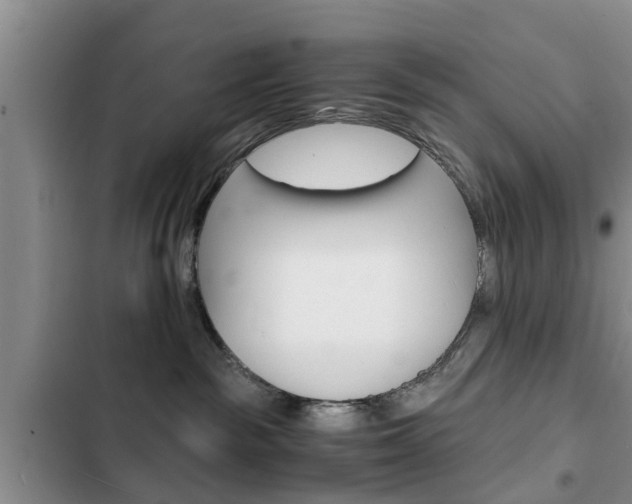 X0000102760189200808180940