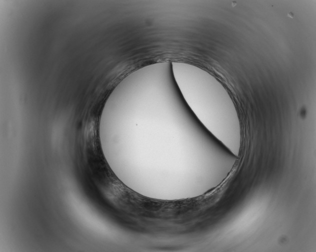 X0000102760191200808180940