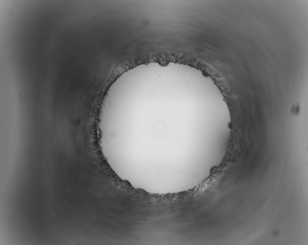 X0000102760192200808180940