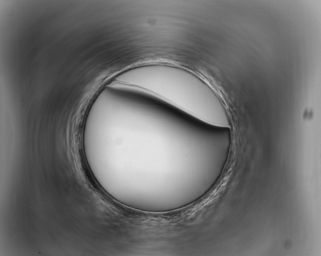 X0000102760193200808180939