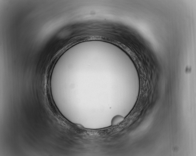X0000102760194200808180939