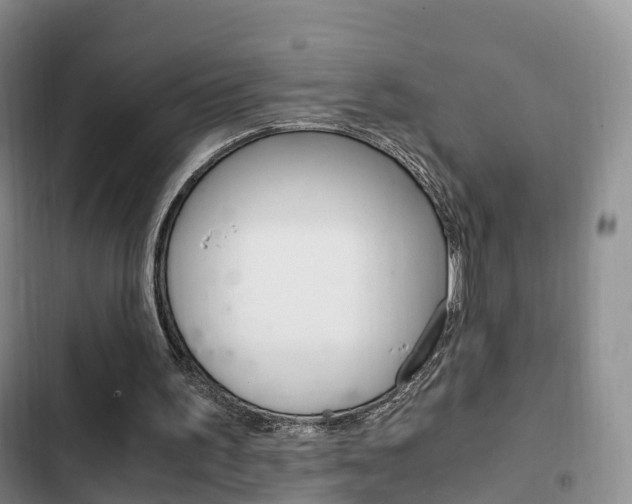 X0000102760195200808180939