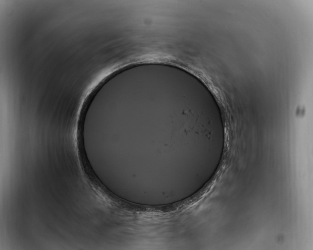 X0000102760196200808180939