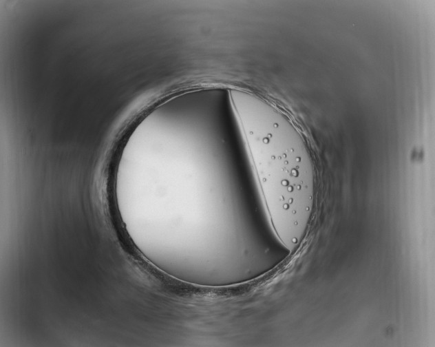 X0000102760197200808180939