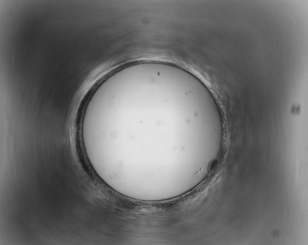 X0000102760199200808180939