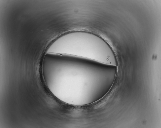 X0000102760201200808180939