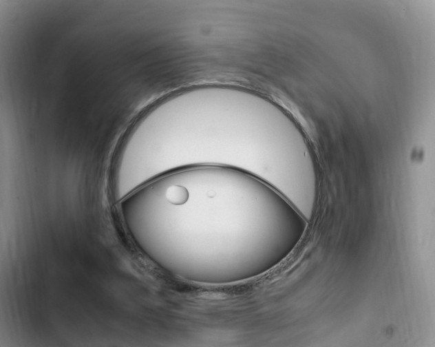X0000102760203200808180939