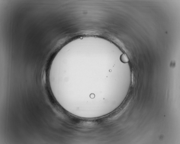 X0000102760205200808180939