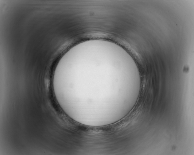 X0000102760206200808180939