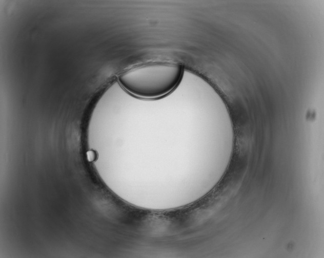 X0000102760207200808180939