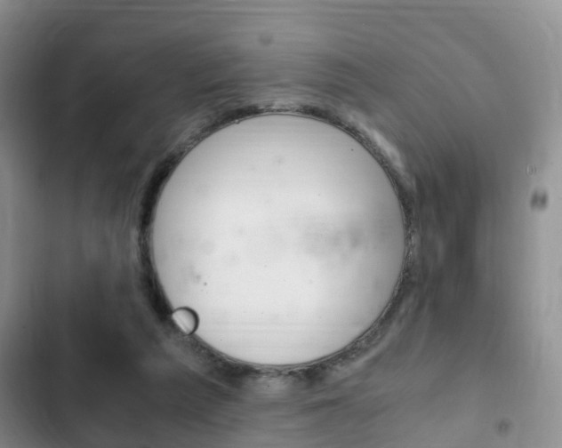 X0000102760209200808180939
