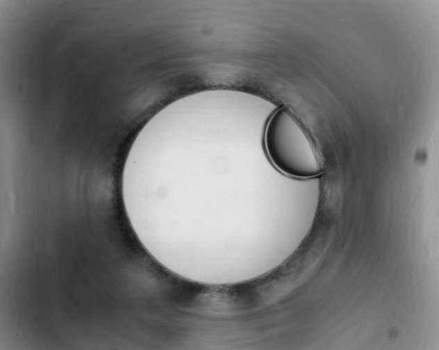 X0000102760211200808180939