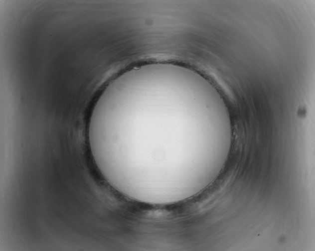 X0000102760212200808180939