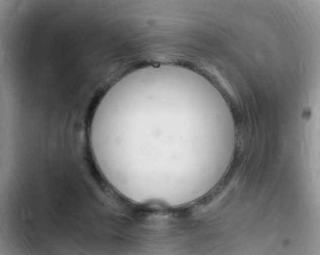 X0000102760213200808180939