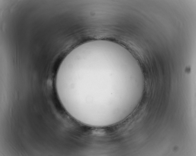X0000102760214200808180939