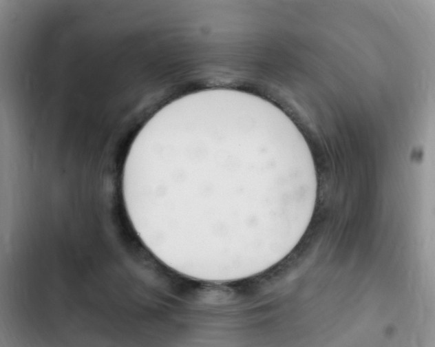 X0000102760215200808180939